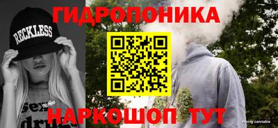 стаф Тверь