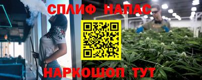 прущие грибы Татарск