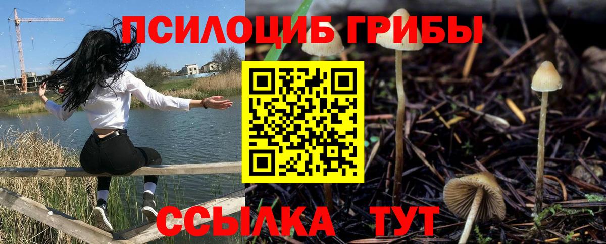 Галлюциногенные грибы прущие грибы  купить наркоту  Новодвинск  Вход с VPN 