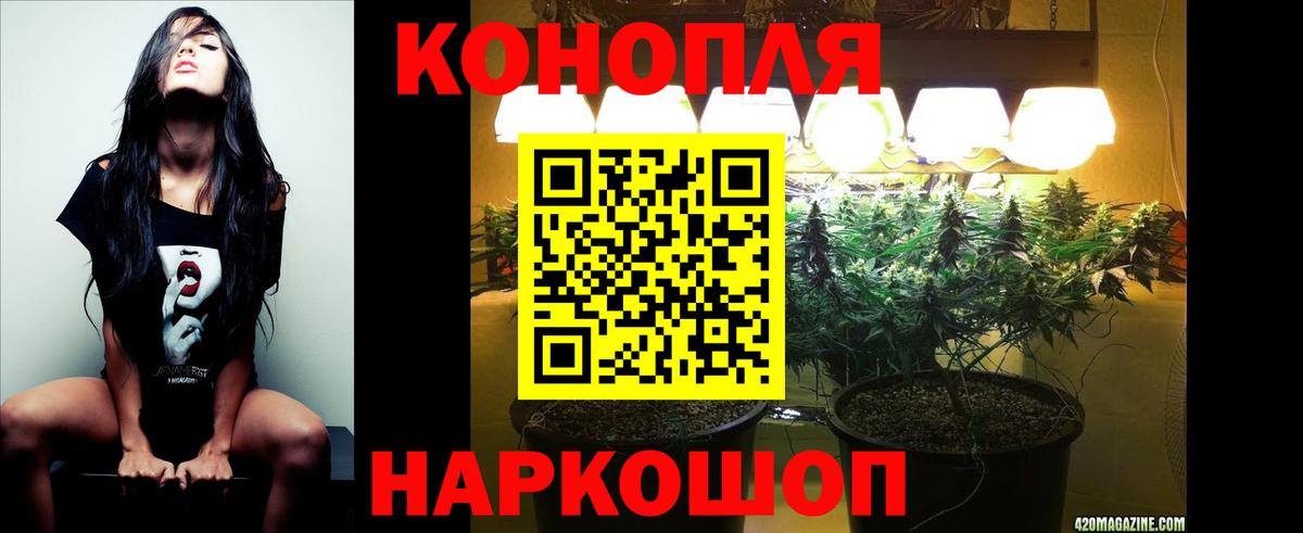 Шишки марихуана гибрид Новодвинск